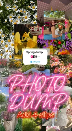 Spring dump 