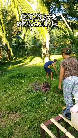 General cleaning 