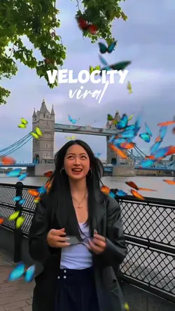 new velocity trend 
