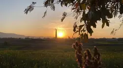 Cinematic Colorgrade