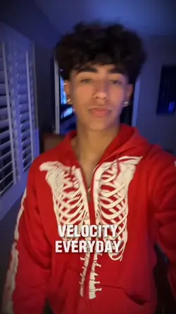velocity everyday 