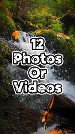 12 slideshow