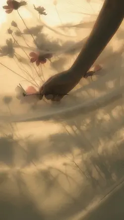 Aesthetic video