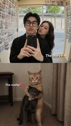 story vs reality