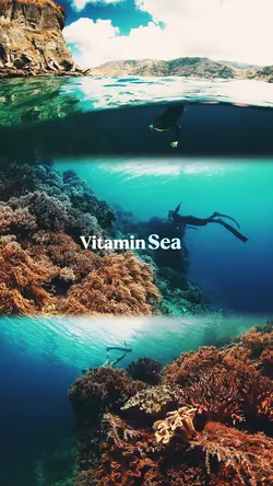 Vitamin Sea❤️