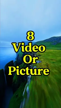 8 video or picture 