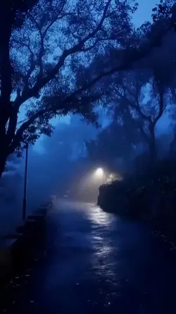 Fog & Streetlights