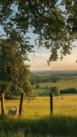 life in countryside