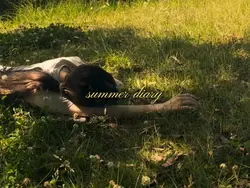 ✩ summer vlog ✩ 