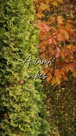 Autumn vibes 
