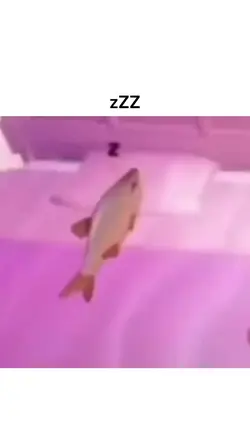 Pov sleep