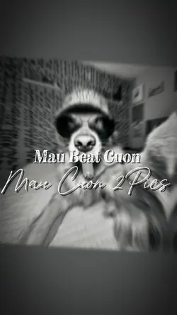 MAU BEAT CUON 2PICS 