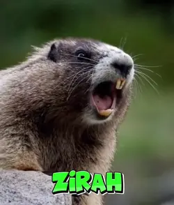 ZIRAH