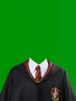 cosplay harry Potter
