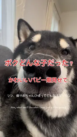 ママ、ボクが赤ちゃんの頃ってどんな子？