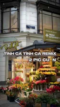 Tình Ca Tình Ca 