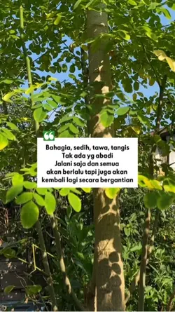 Kehidupan