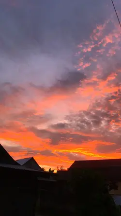 Sunset + DJ Panda