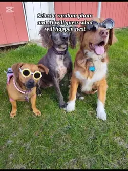 what happens next 