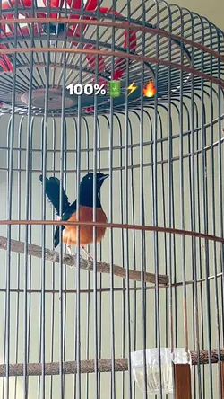 Full power 🔥