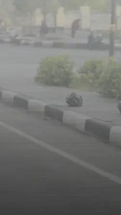 JJ sekali putaran