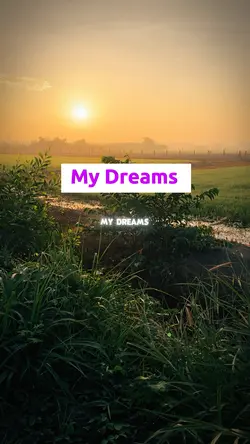 My Dreams