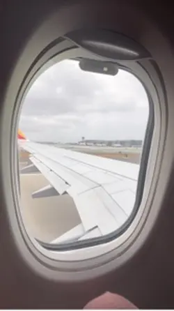 fly fly fly
