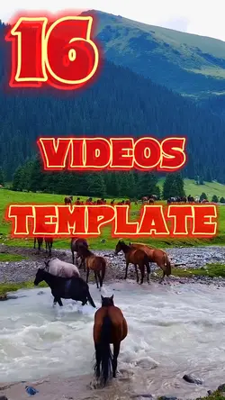 16 Videos Template