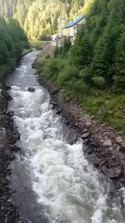 șablon