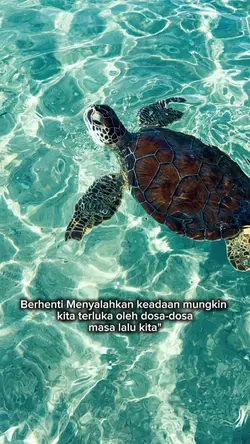 letgo