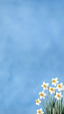 Semangat Selasa