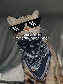 bahan sw