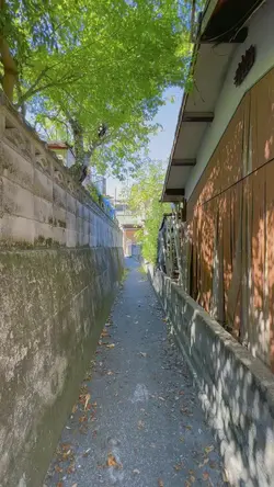 夏霞