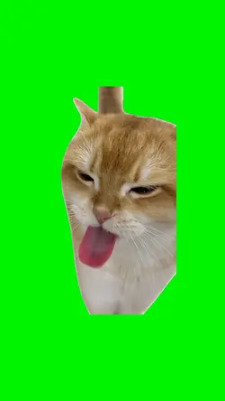 Bleh Cat 