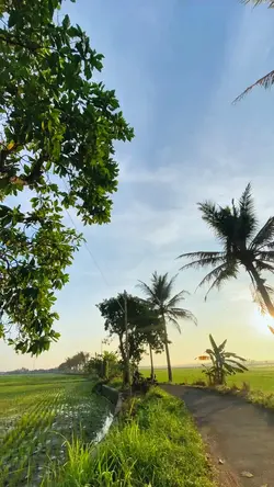 Tembang Sunda 