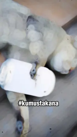 kumusta ka na?