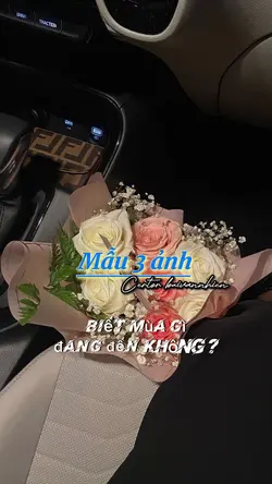 Mẫu xịn 3 ảnh