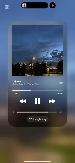 Sevgili akım