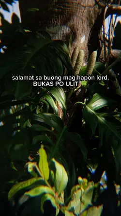 SALAMAT 