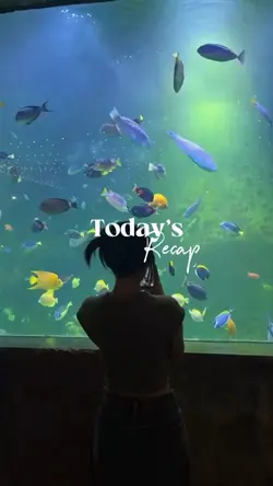 Today’s recap