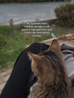 melhor amigo 