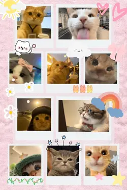 Pink Frame Collage