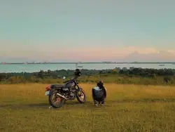 export na