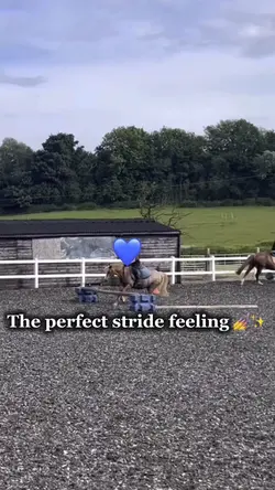 Perfect stride 