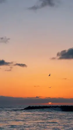 Aesthetic sunset 