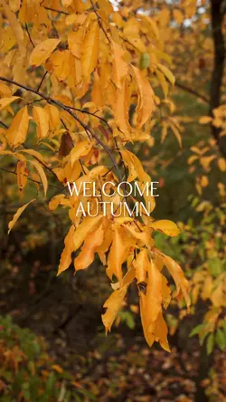 Welcome Autumn