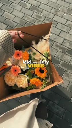 Mid July Vibes