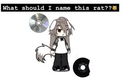 :3
