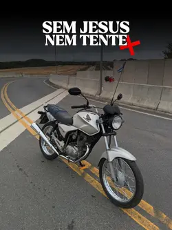 frases 244