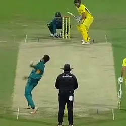 cricket 